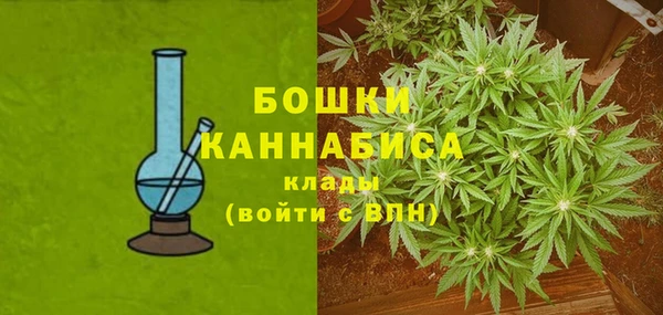 крисы Богданович