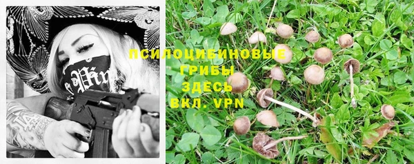 мяу мяу мука Богородск